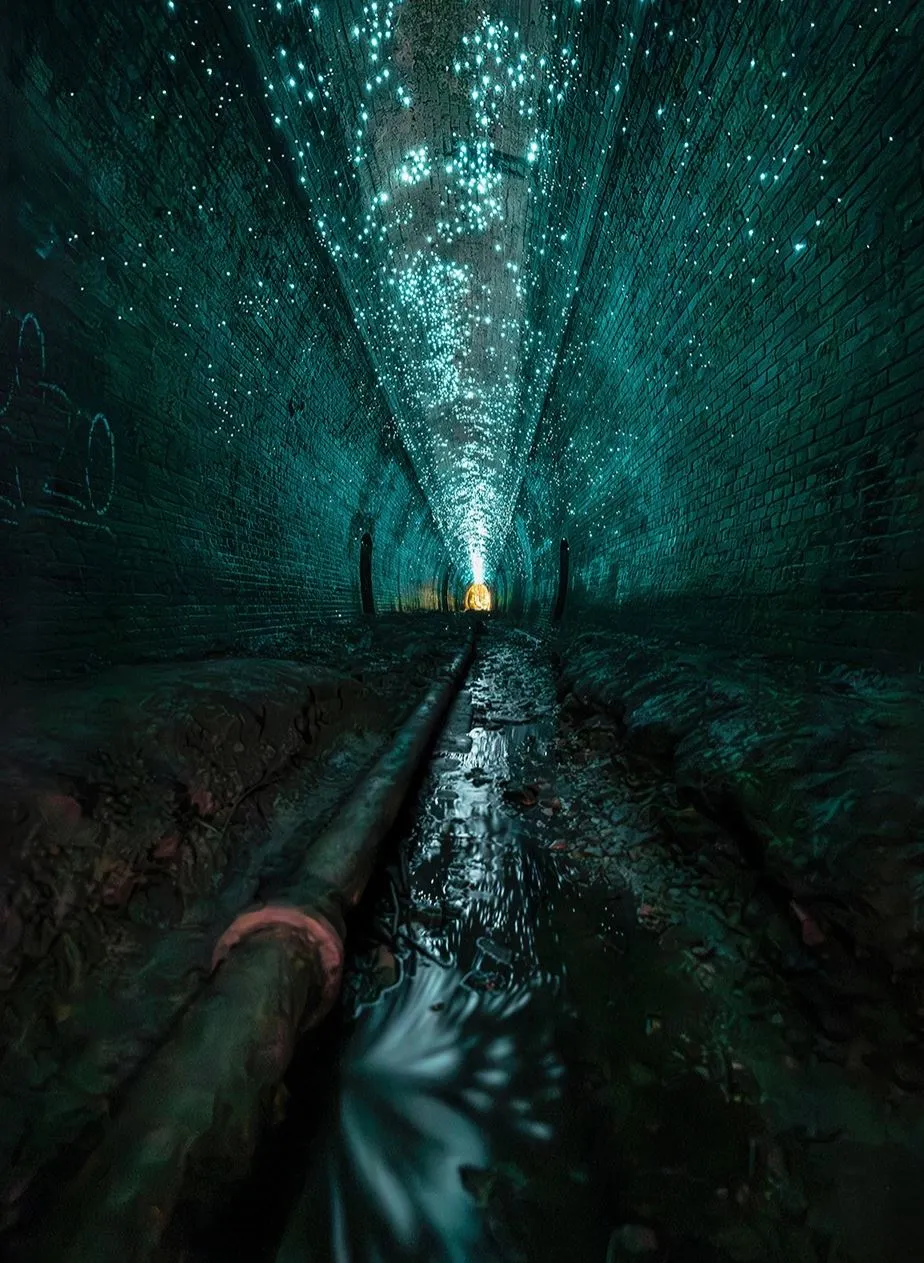 A Night Walk That Lit Up The Canyon Walls