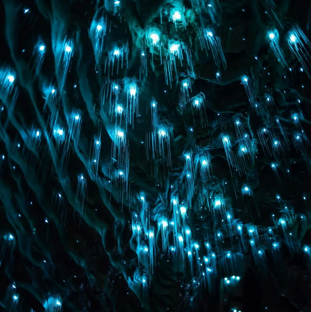 A Personal Yarn From One Frosty Night On The Track