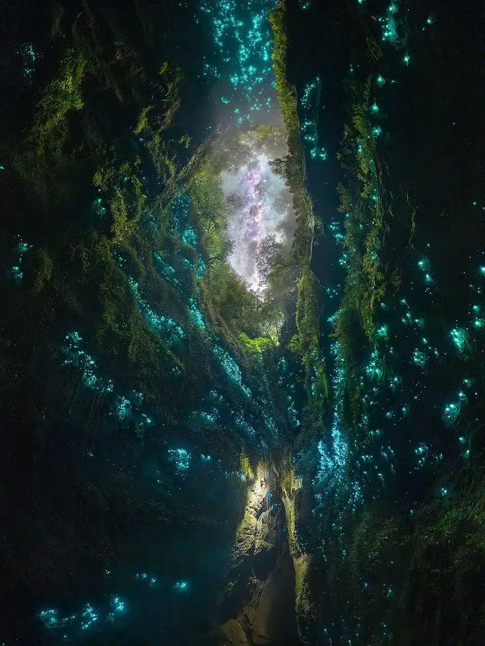 After-Dark Magic In The Gorge