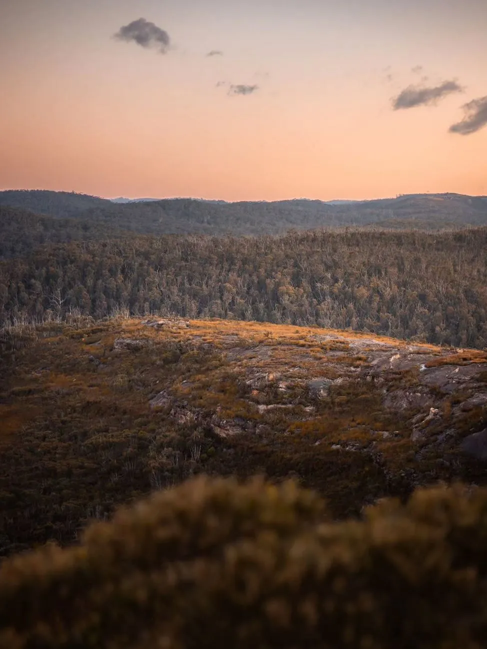 Autumn, The Gold-Leaf Sweet Spot - Finally Some Clarity