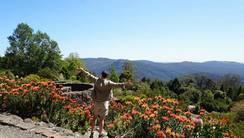 Blue Mountains Botanic Garden Mount Tomah