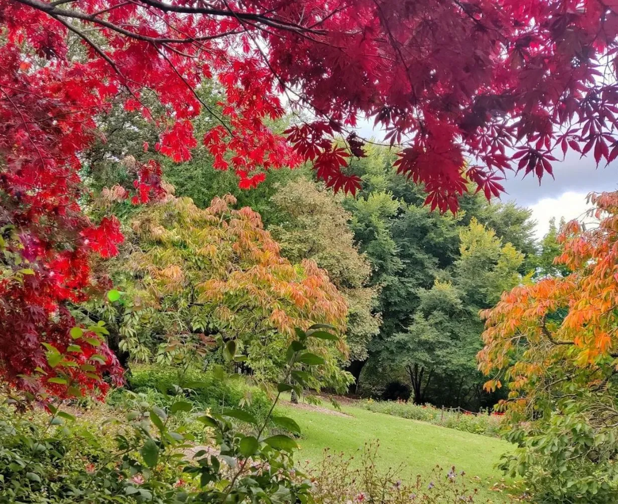 Blue Mountains Botanic Garden