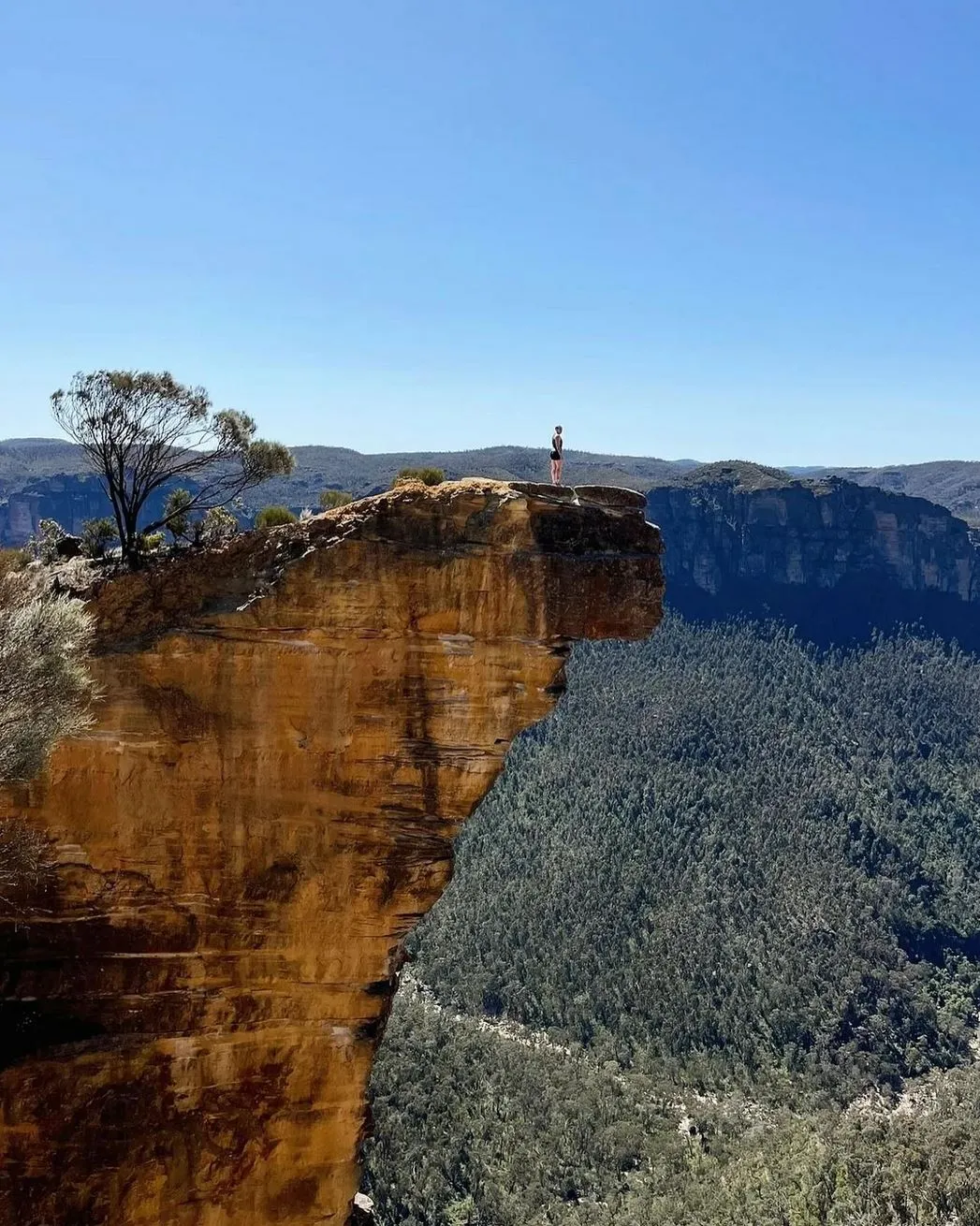 Buramoko Trail to Hanging Rock (Blackheath)