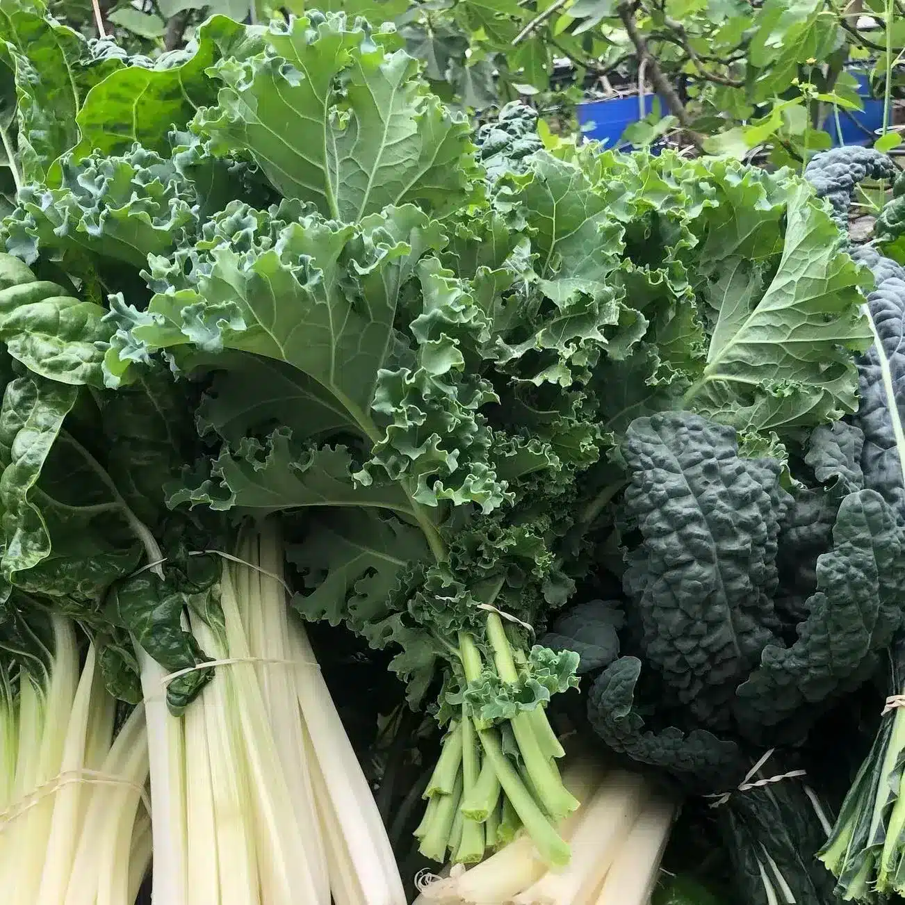 Choosing The Right Market For Your Weekend