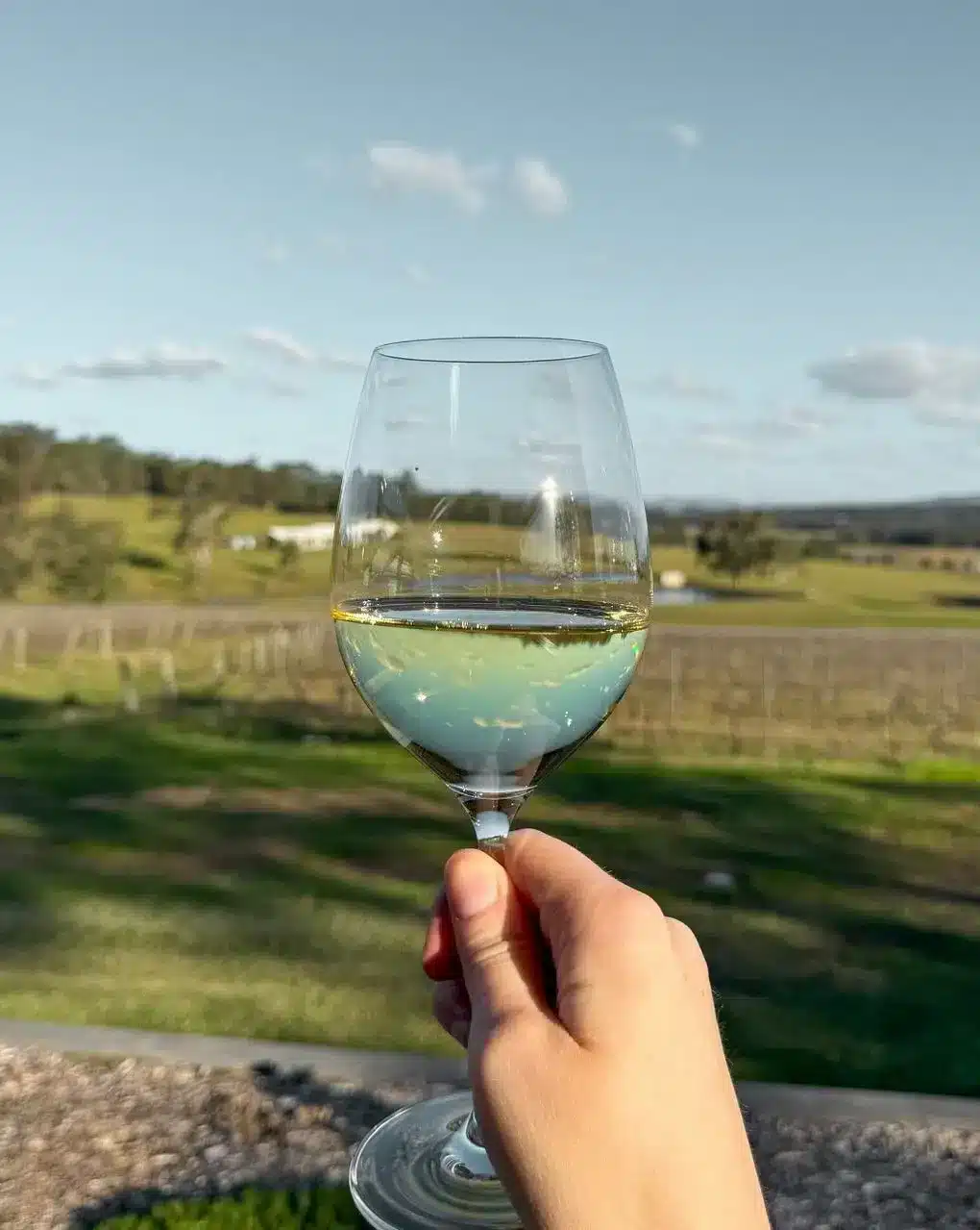 Climate, Soil, and Why This Chardonnay Stands Out