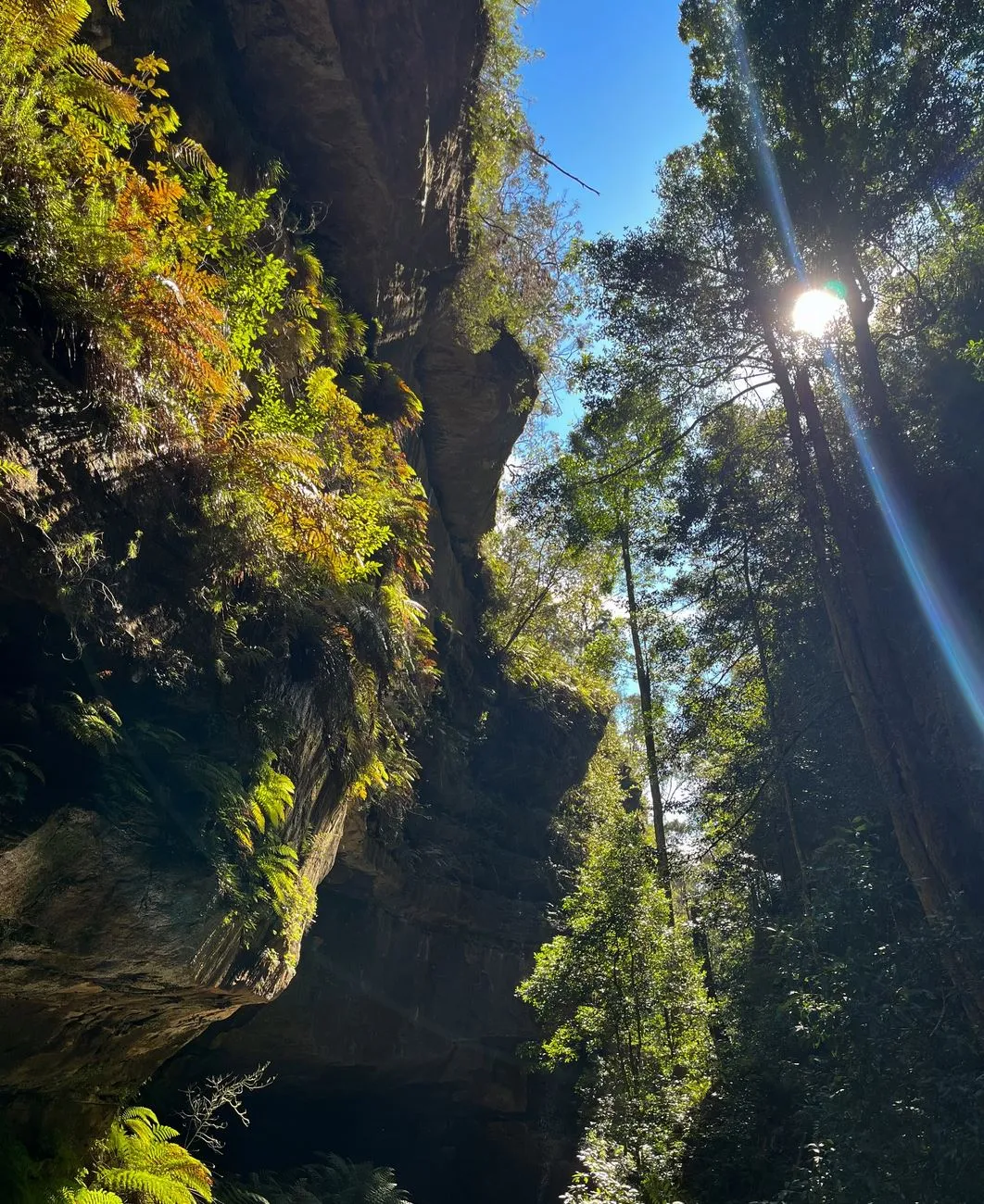 Decode The Forecast Like A Local