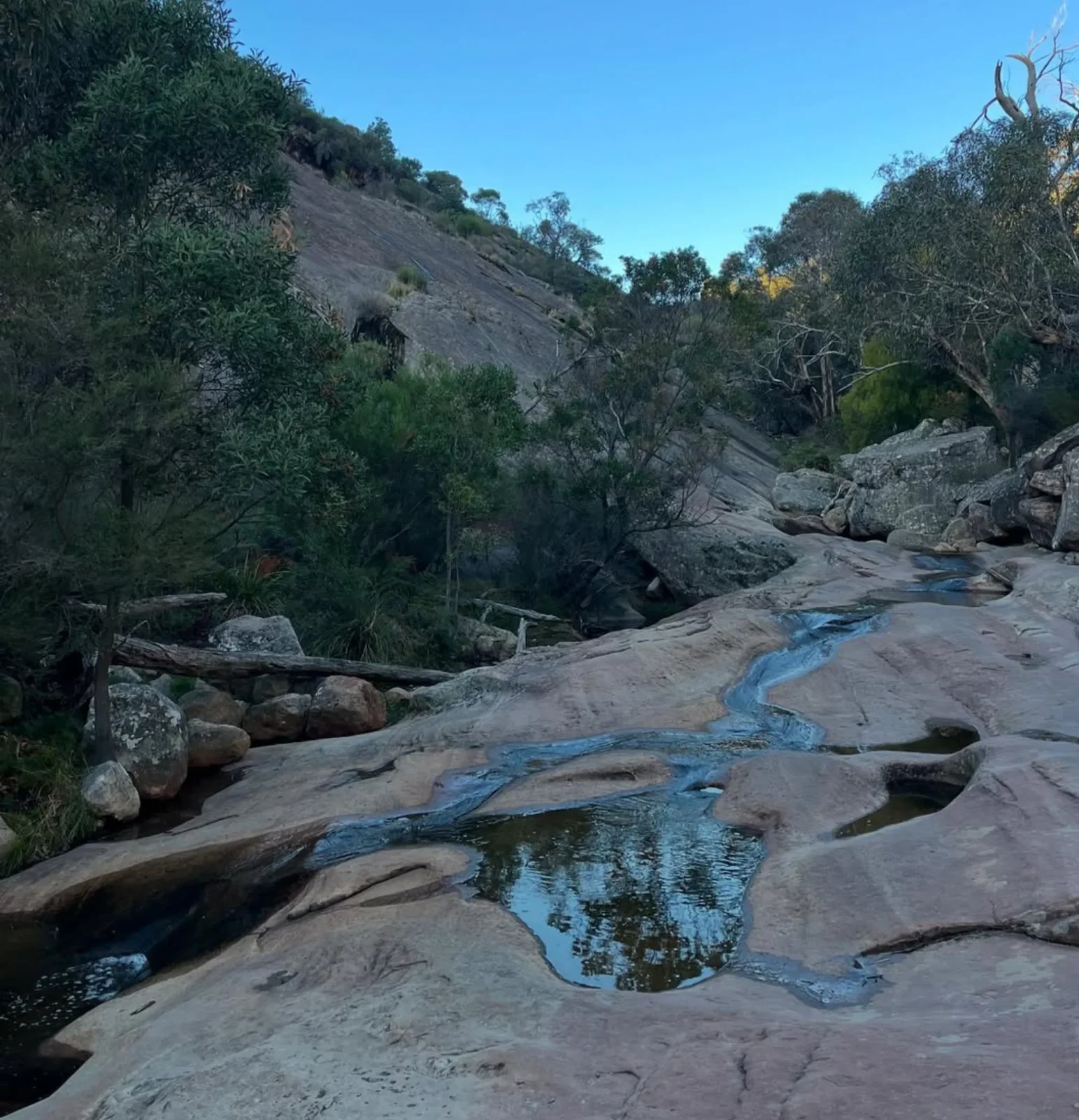 Easy Walks in the Grampians