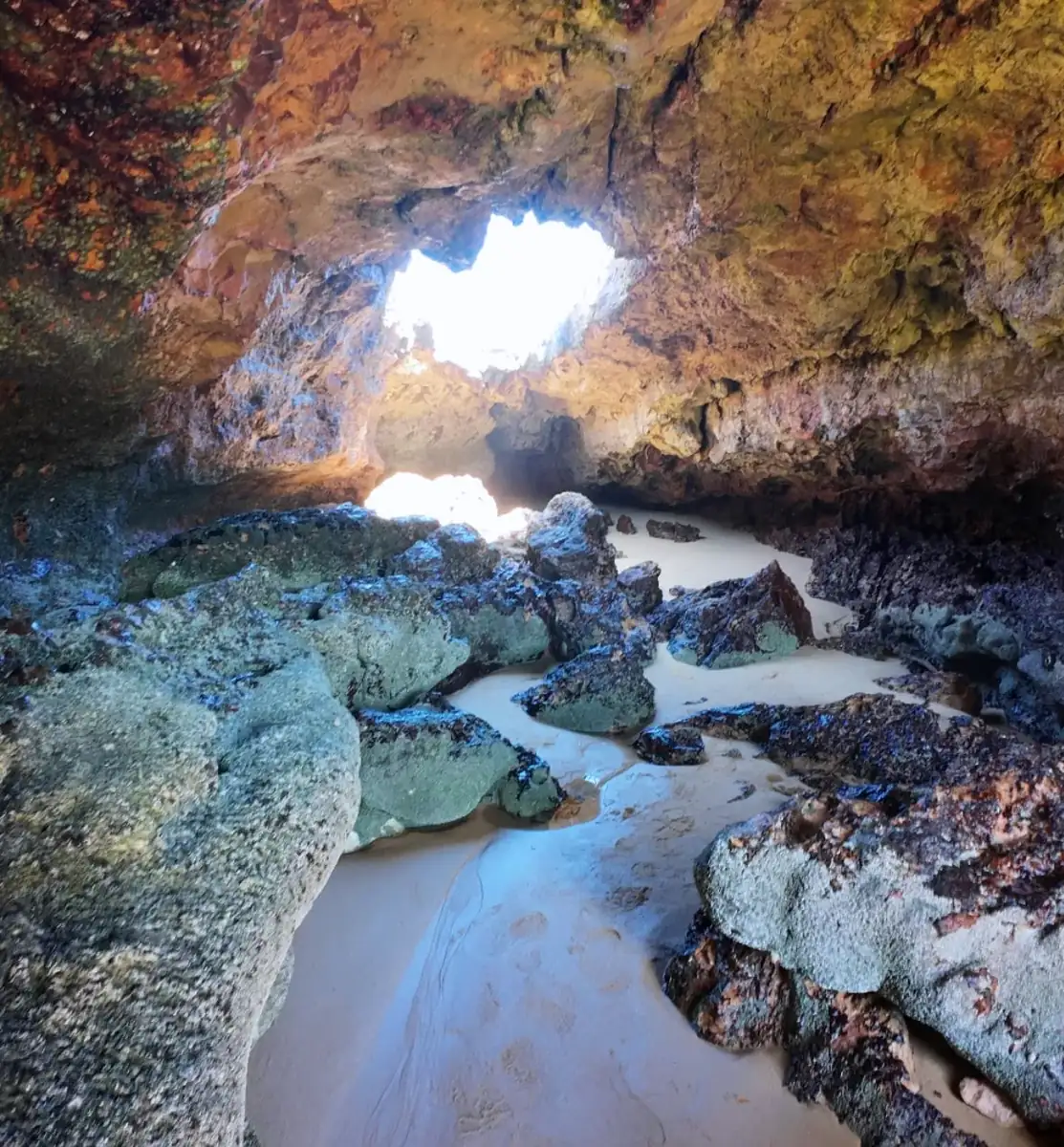 Forrest Caves