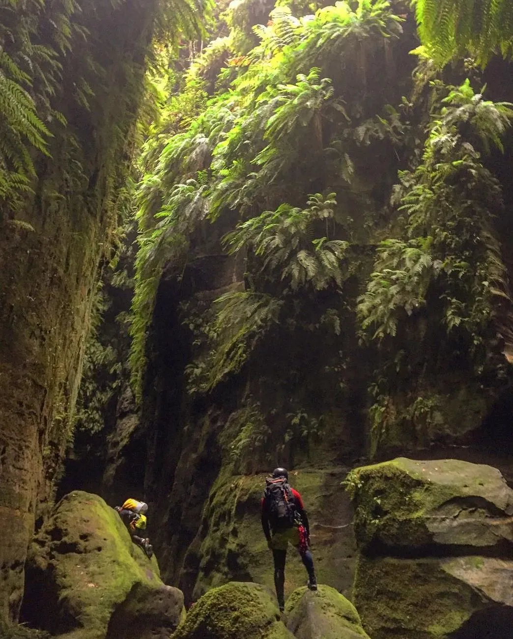 Gear You Absolutely Need