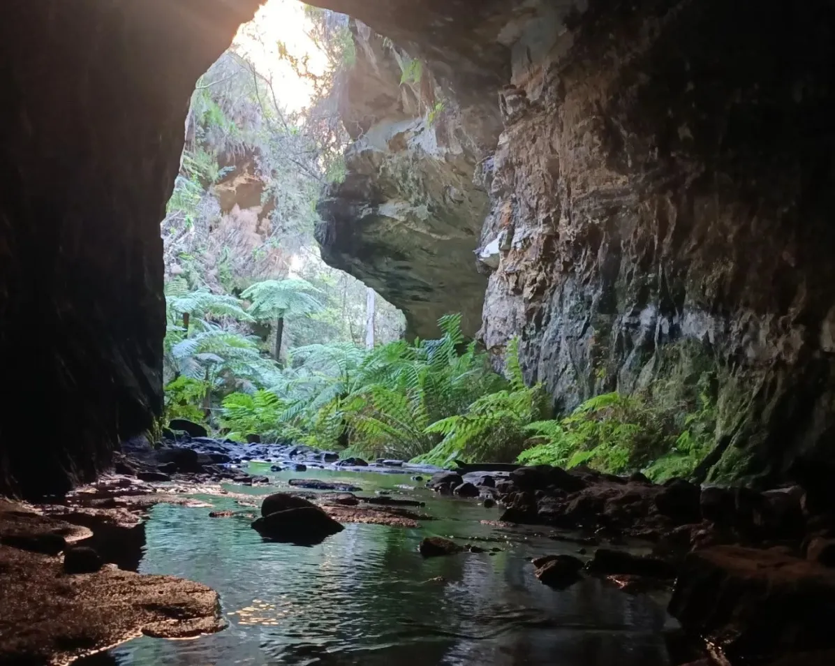 Glow Worm Tunnel