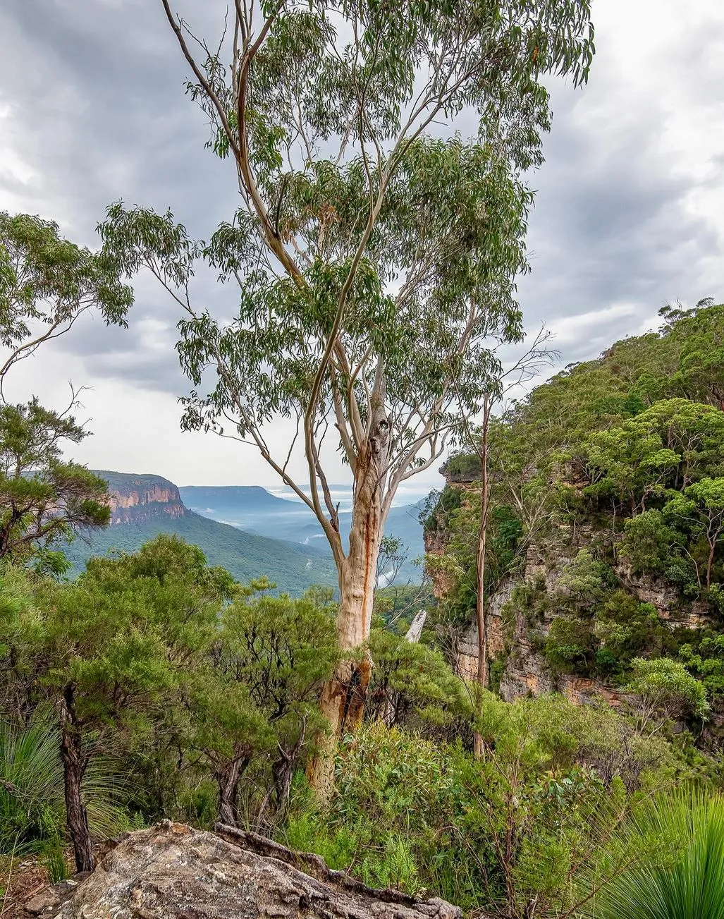 Greater Blue Mountains World Heritage Area