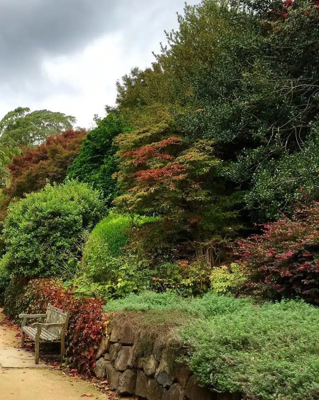 How to Navigate the Seasons Like a Local
