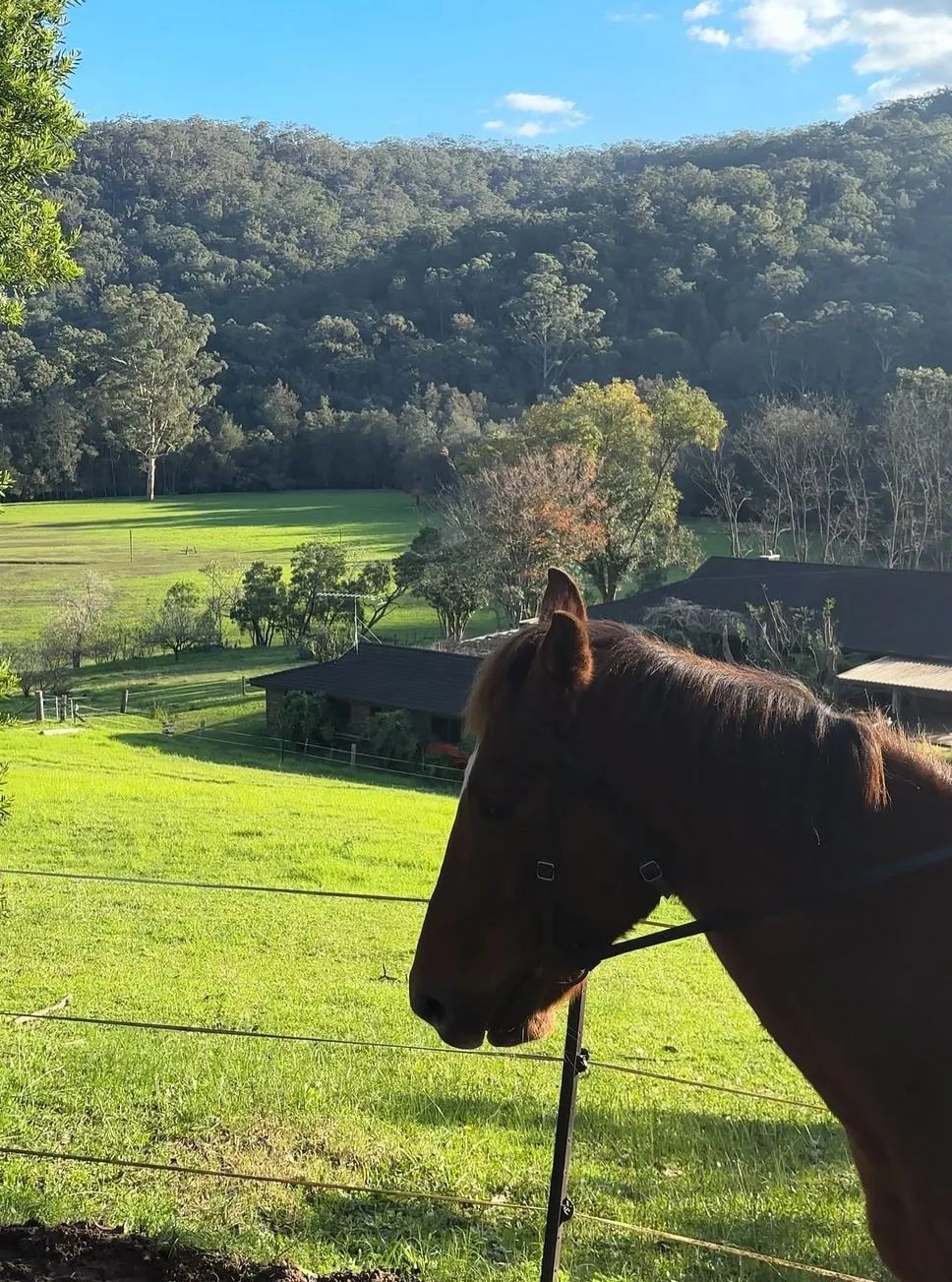Hunter Valley Nature Trail Brochure