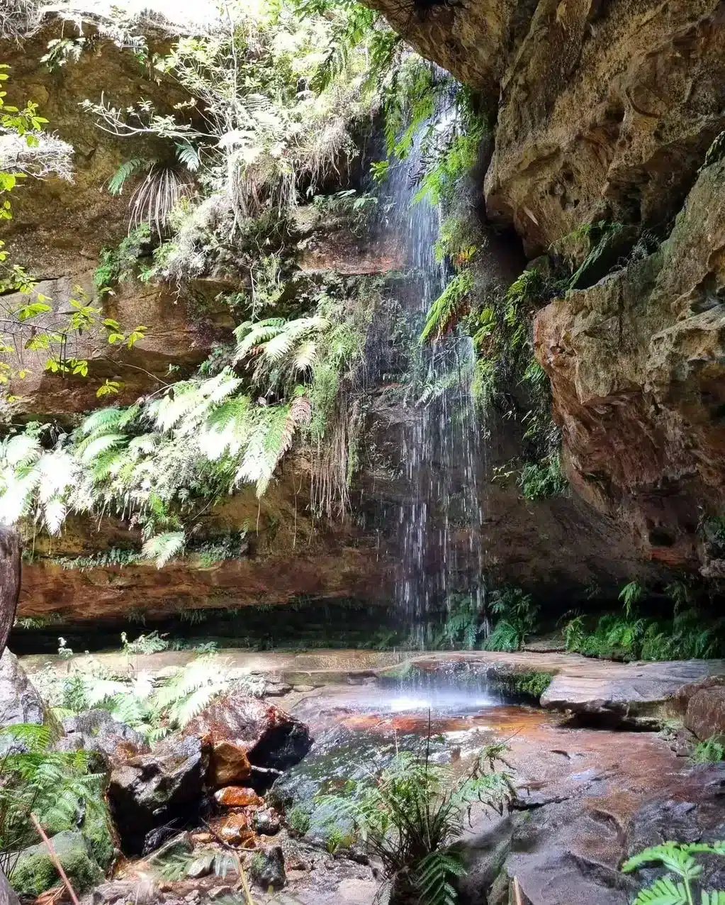 Inside The Canyon