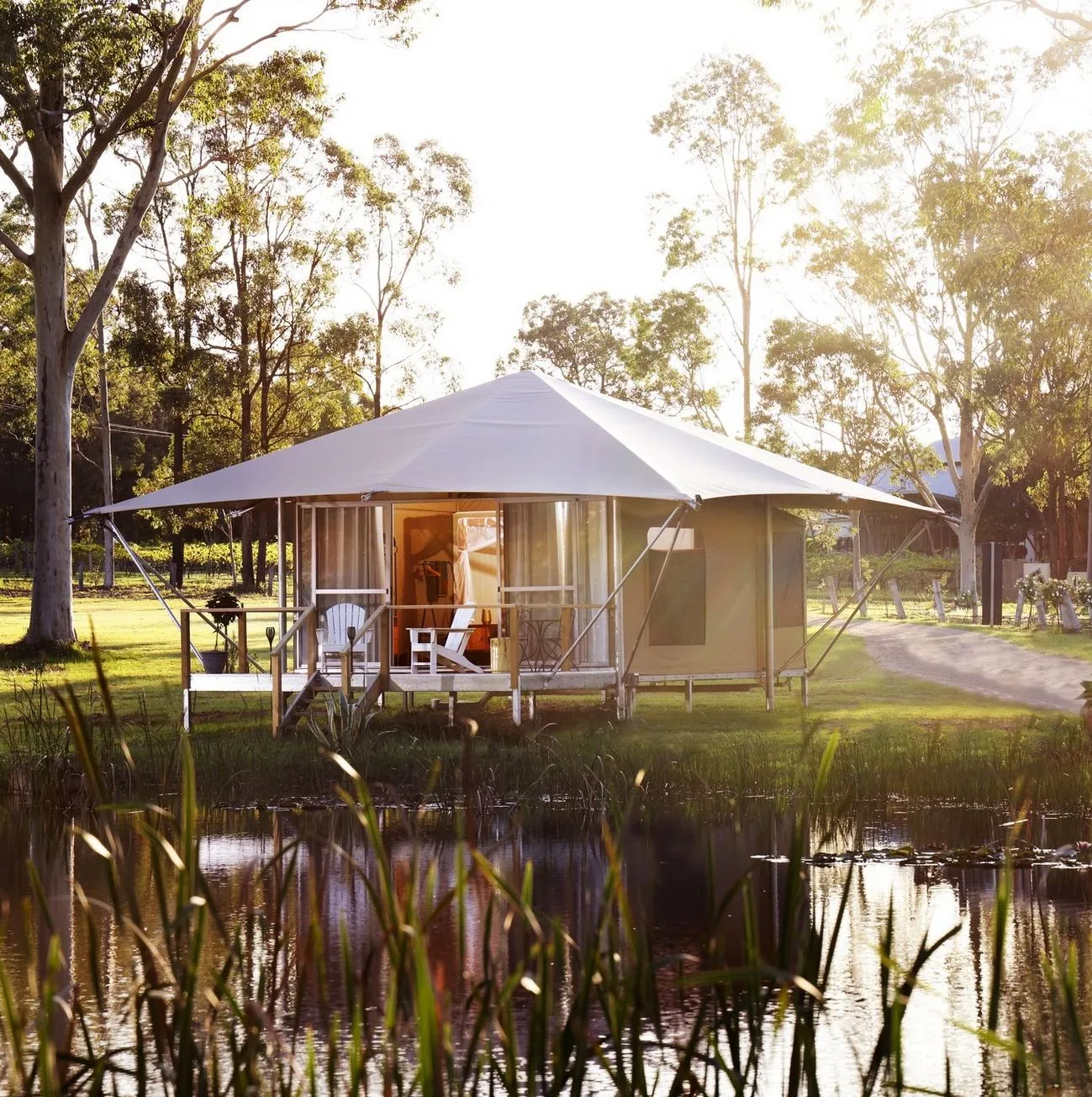 Insider Hacks for Exploring the Vineyards