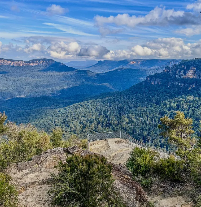 Jamison Lookout