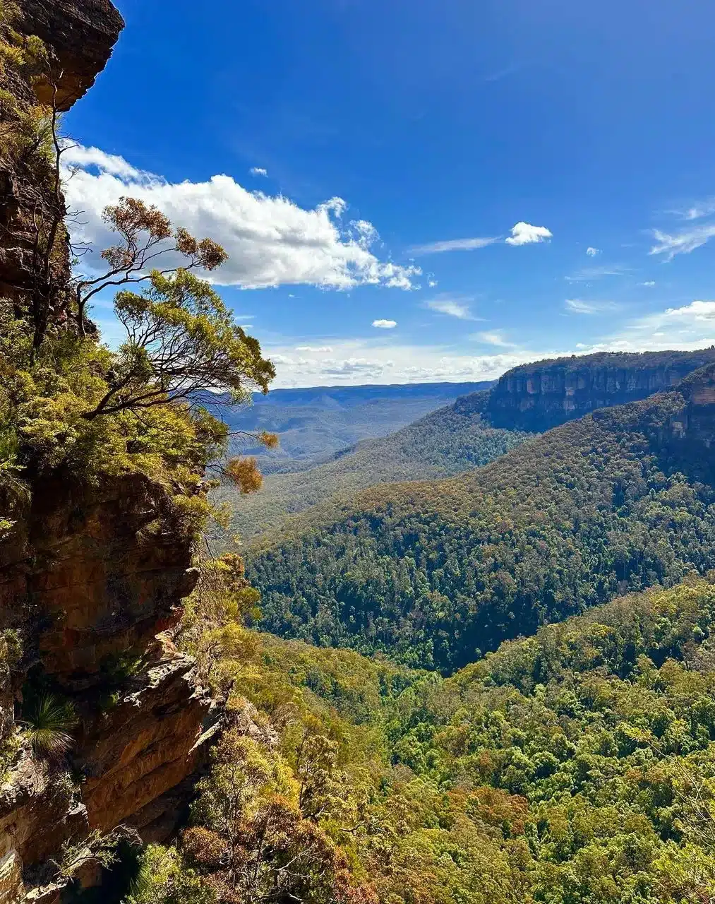 Jamison Valley