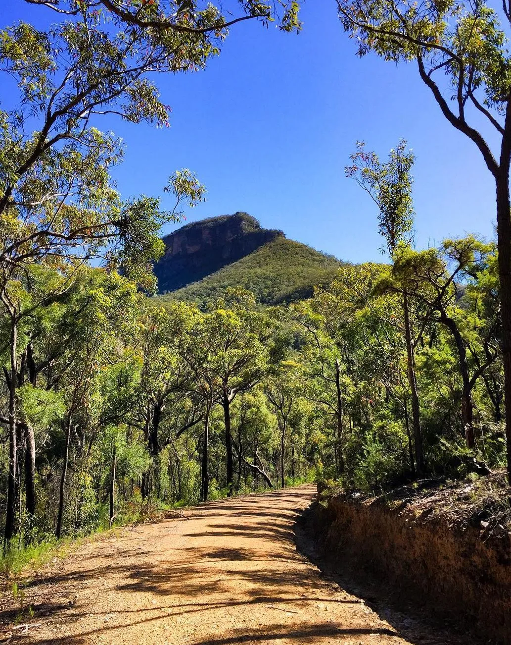 Jamison Valley