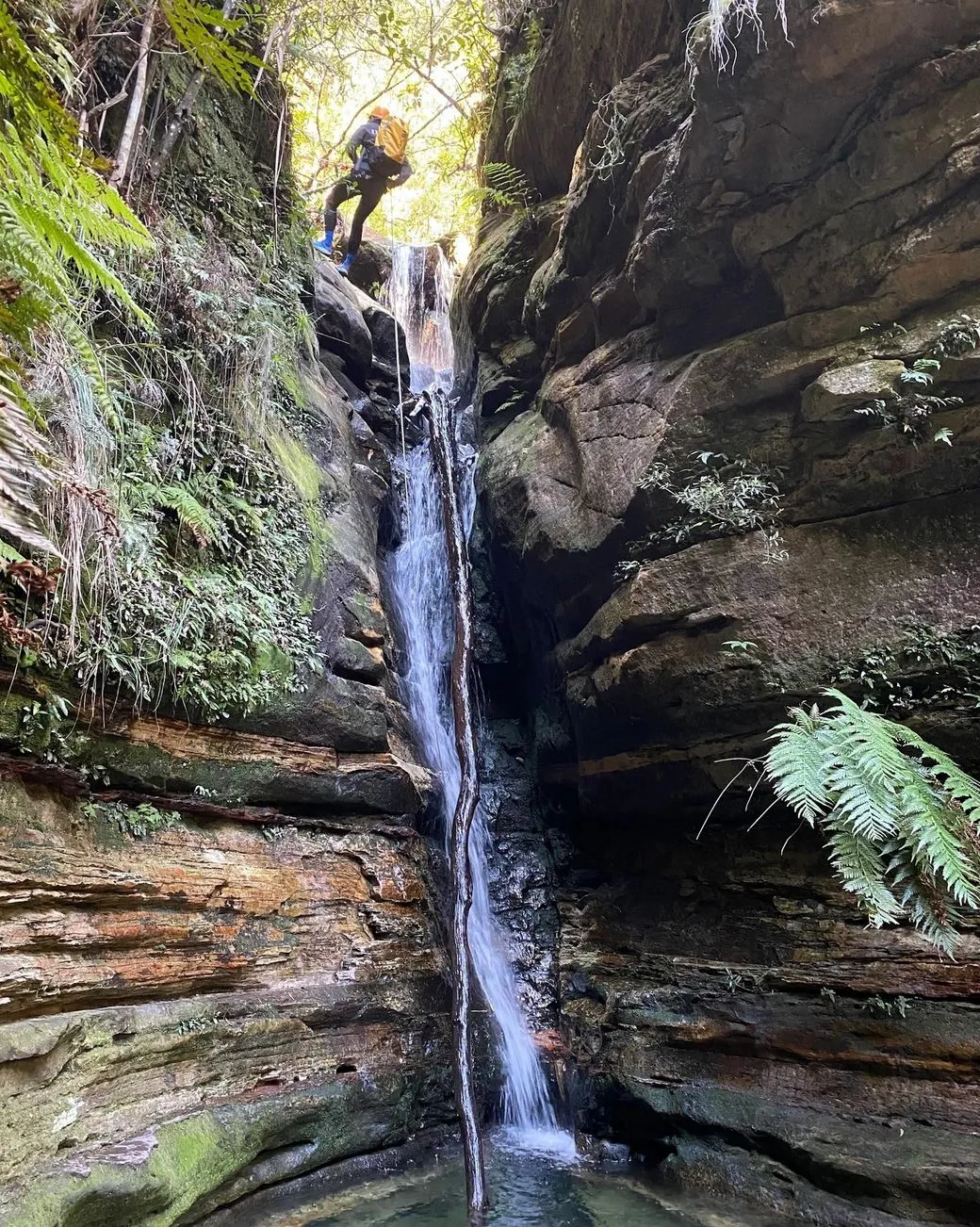 Juggler Canyon (Katoomba)