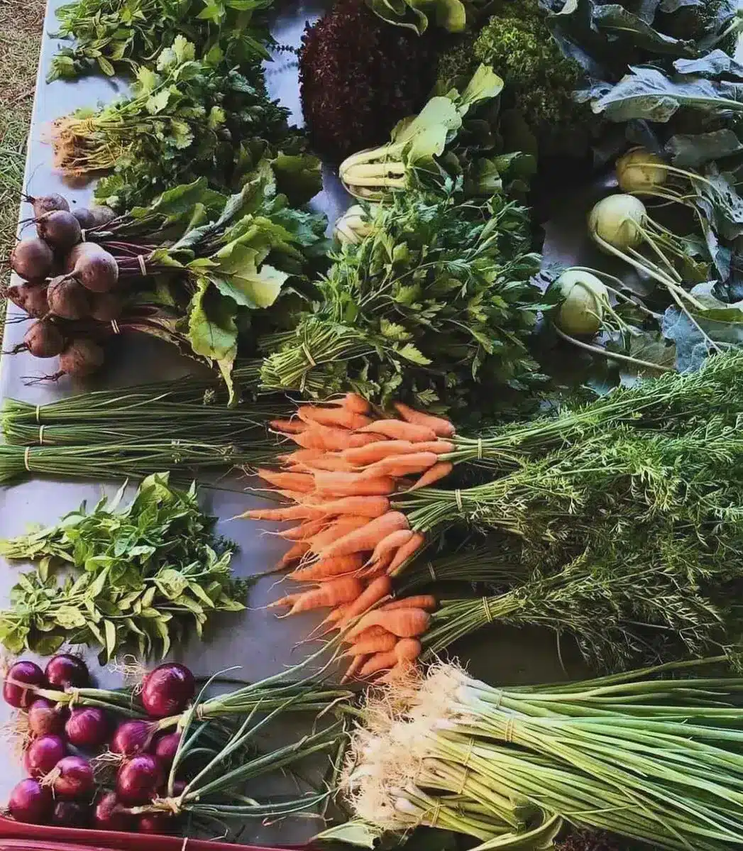Katoomba Farmers Market