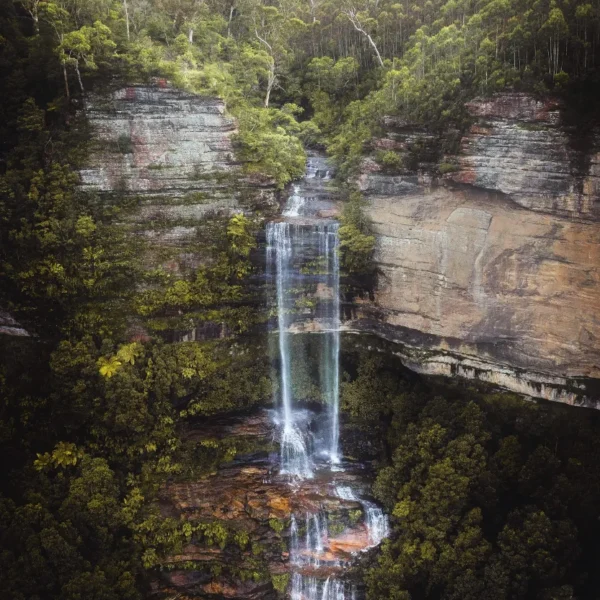 Katoomba Oasis