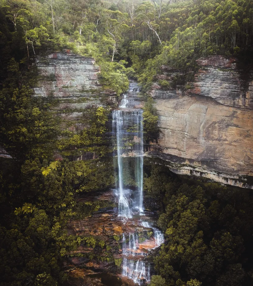 Katoomba Oasis
