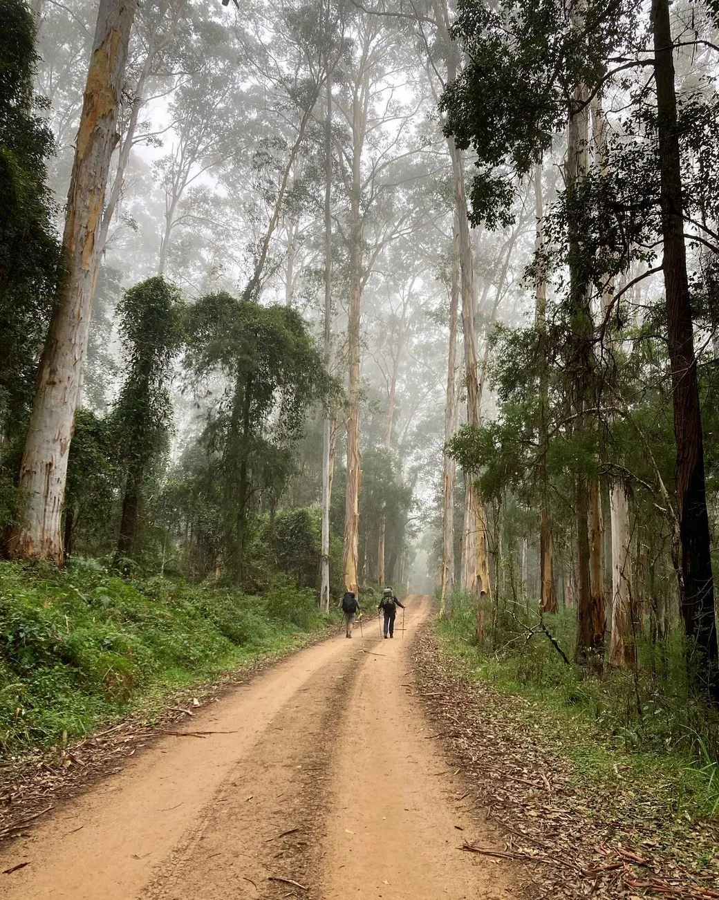 Kedumba Valley
