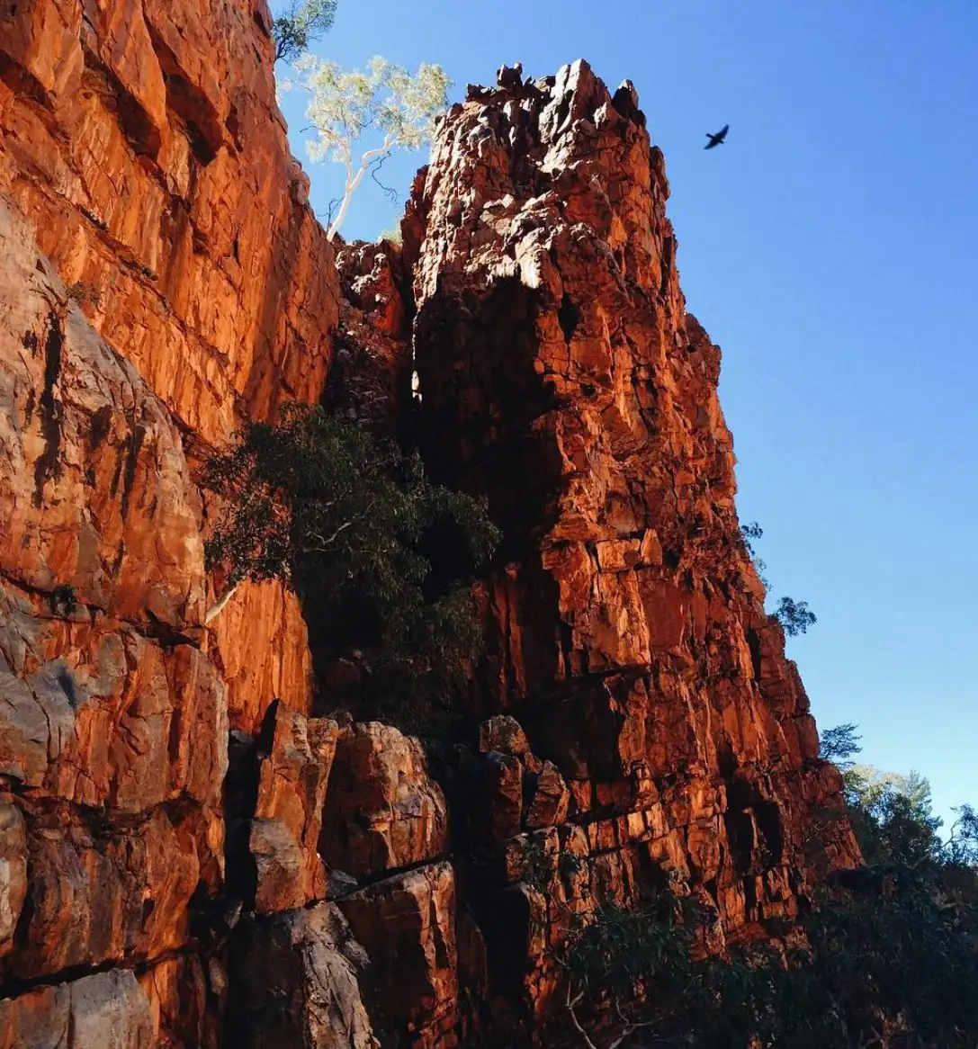 Learn Where Most Walkers Naturally Gather