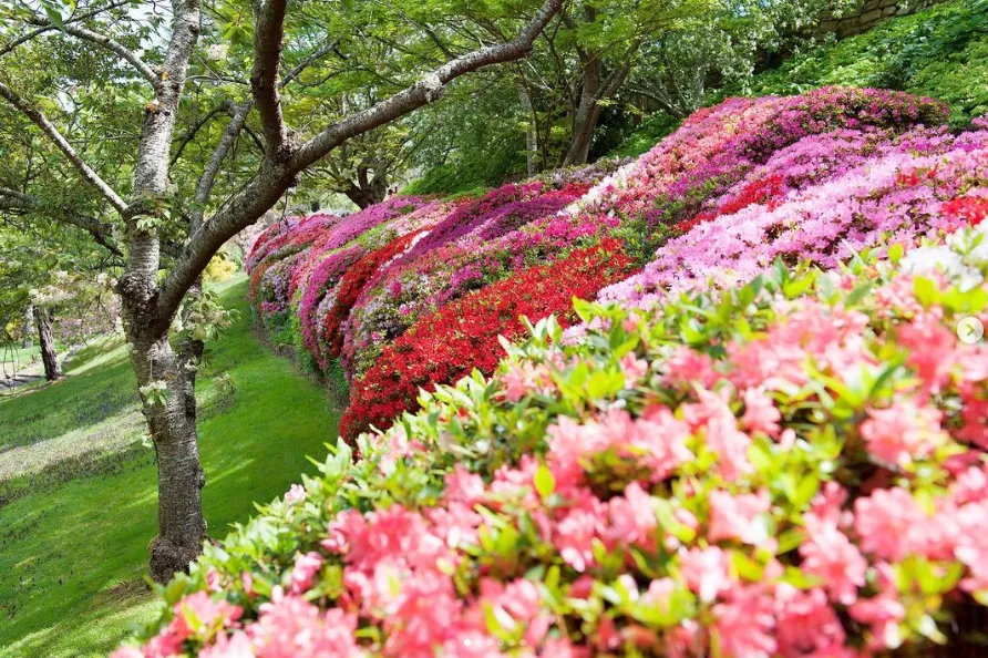 Leura Gardens Festival