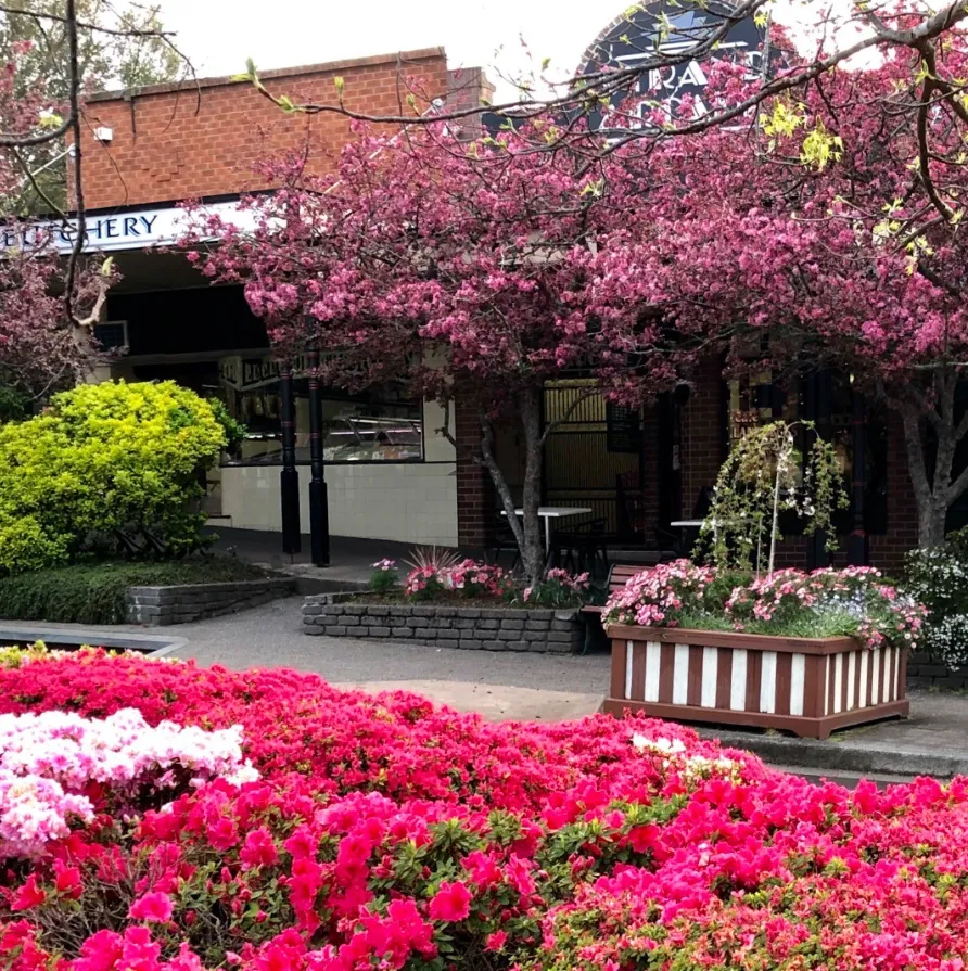 Leura