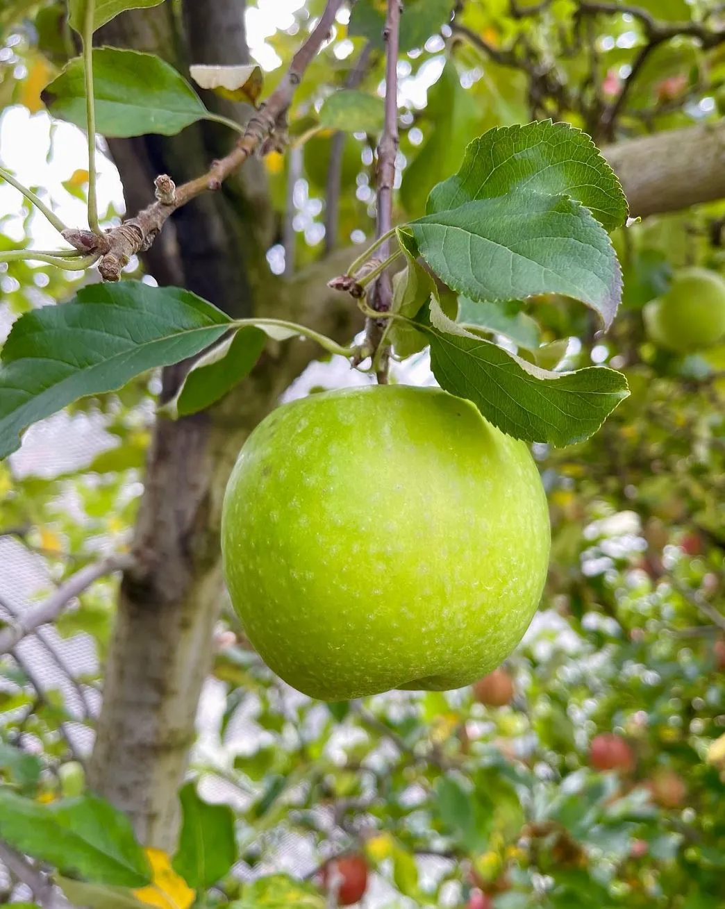 Little Local Quirks You Should Know Before You Go