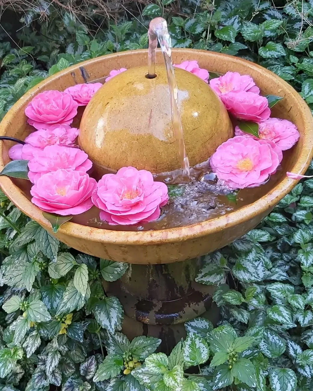 Local Tips To Make The Most Of Your Session