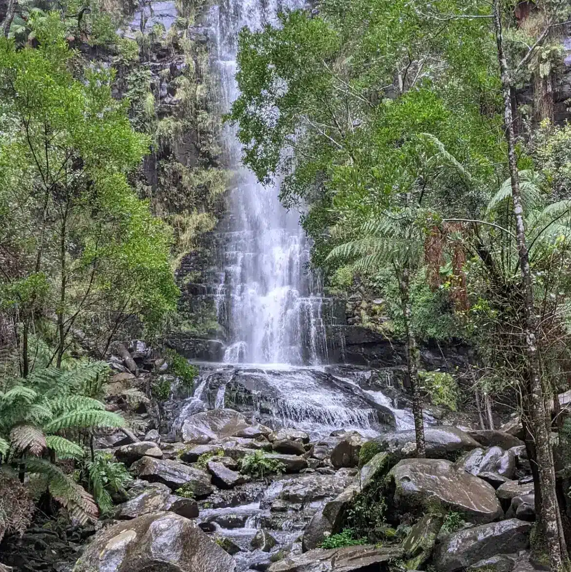 Lorne – A Busy But Still Awesome Break