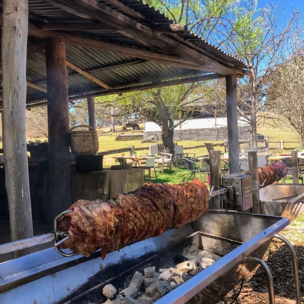 Megalong Valley Farm