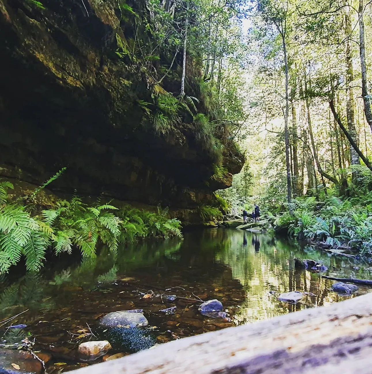 Must-See Spots Nearby