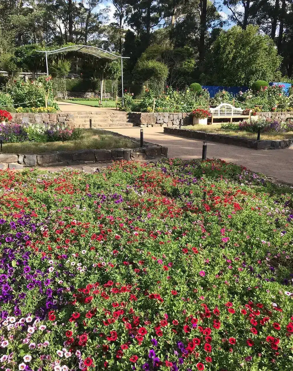 Rhododendron and Magnolia Beds