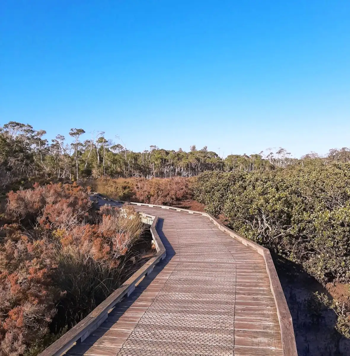 Rhyll Inlet