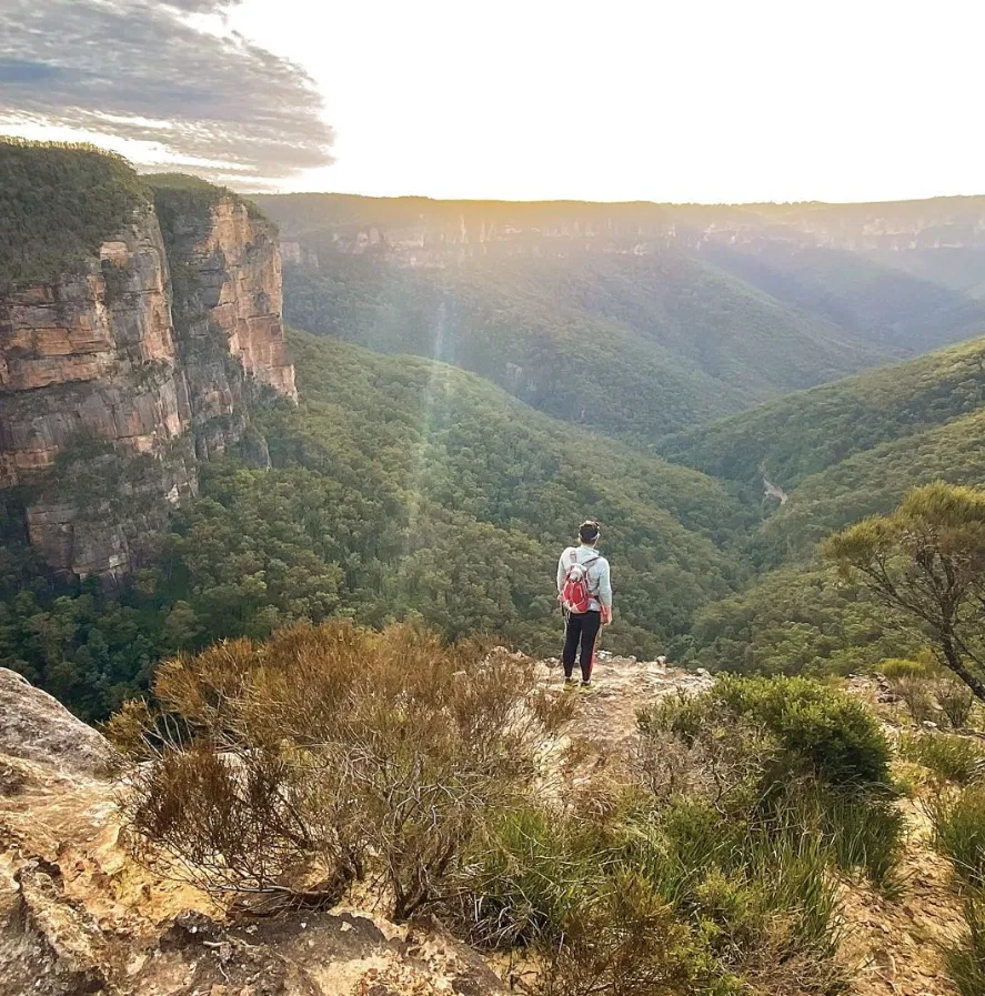 Scenic World