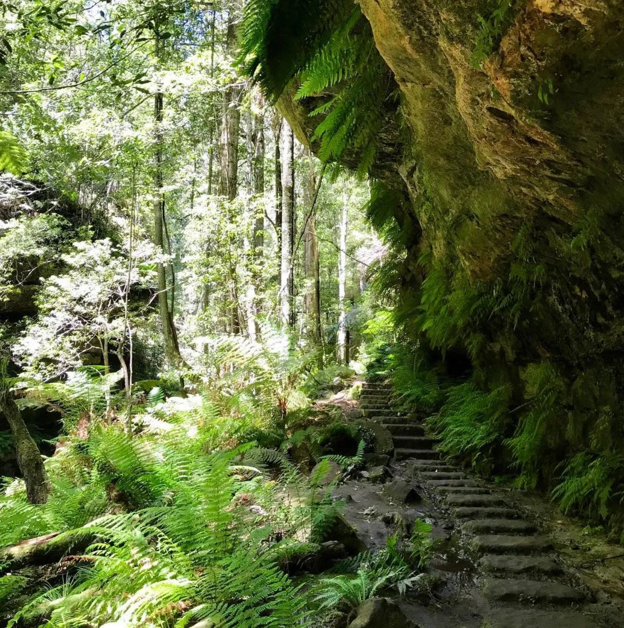 Seasonal Realities, Let’s Call It Straight