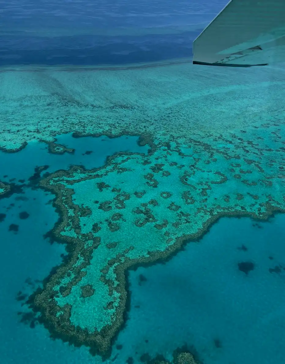 Seeing The Reef From The Air Up Close
