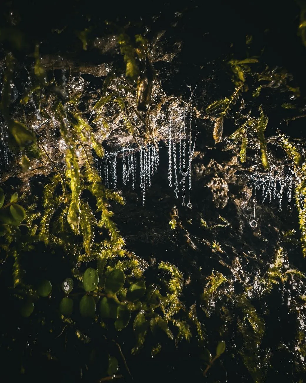 Staying Safe At Night