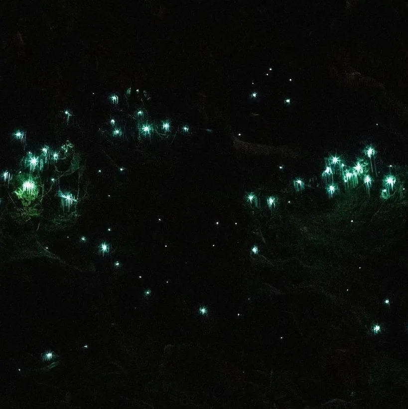 Summer Heat A Warning