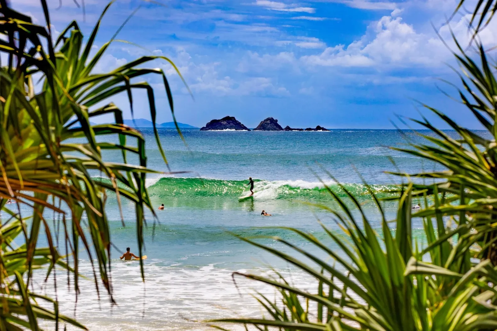 Sydney to Cairns small group tour