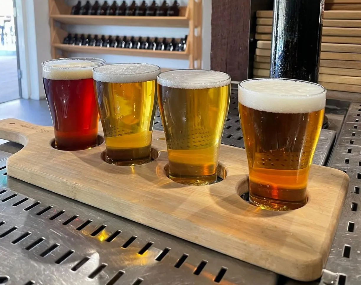 Taste Unique Brews in a Beer Sampling Adventure