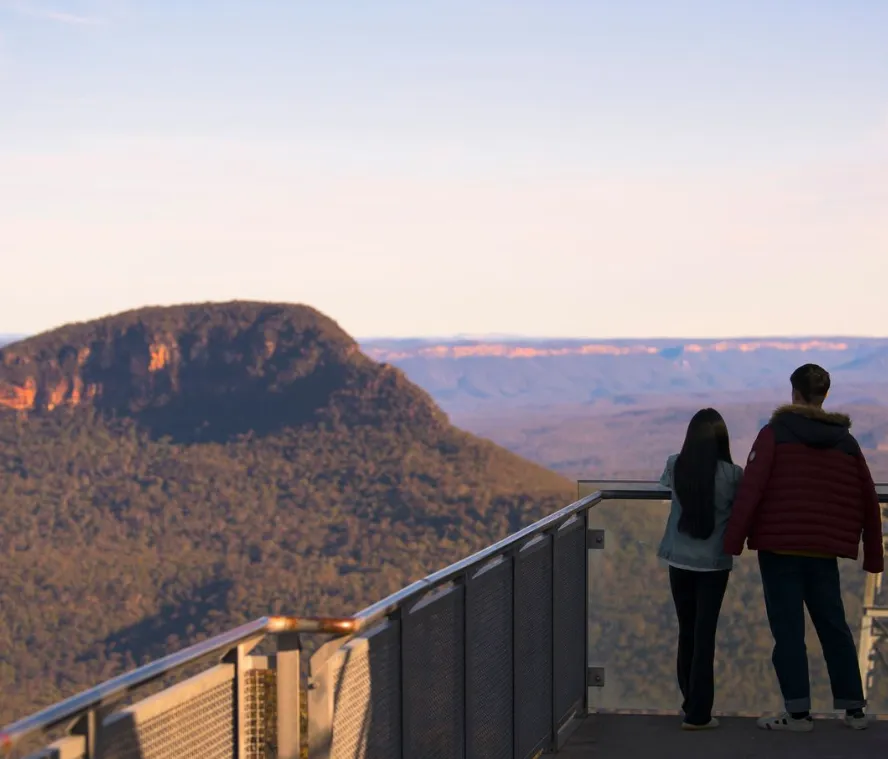 The Bushwalks