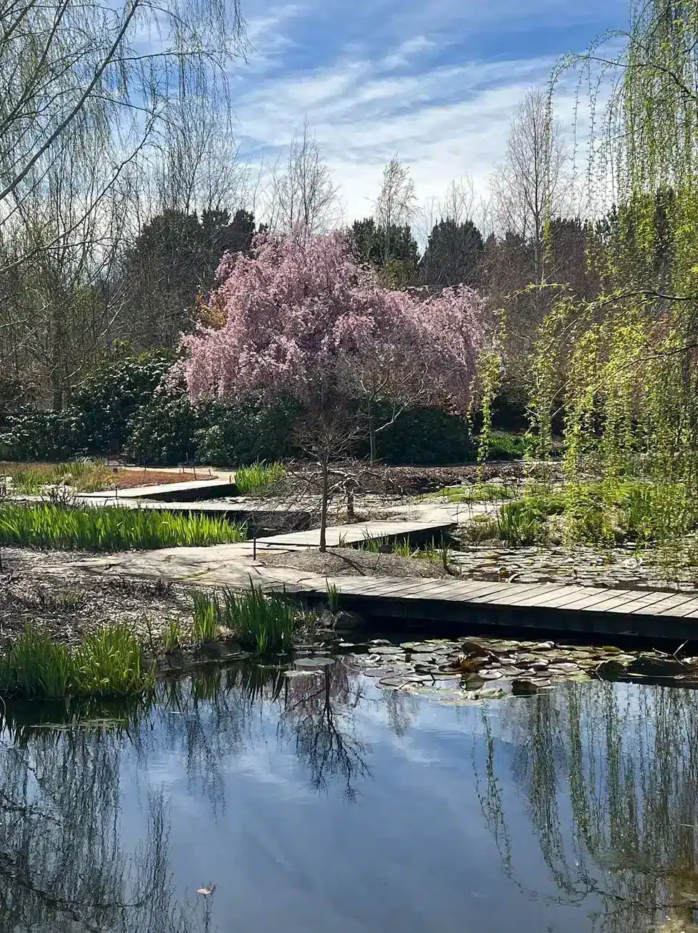 The Expanded Garden, Open Seasonally, Worth the Wait