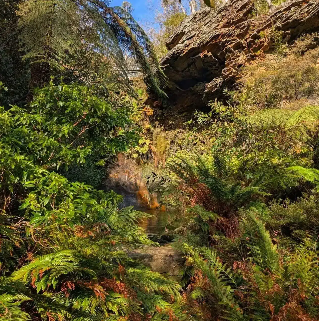 The Grotto Pool and Waterfall