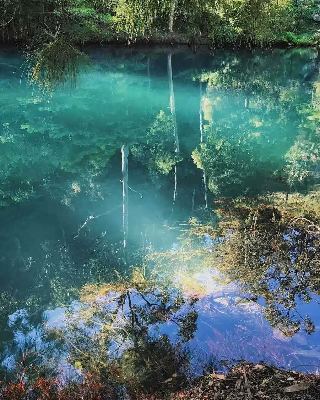 The Real Deal Behind This Bright Blue Pool