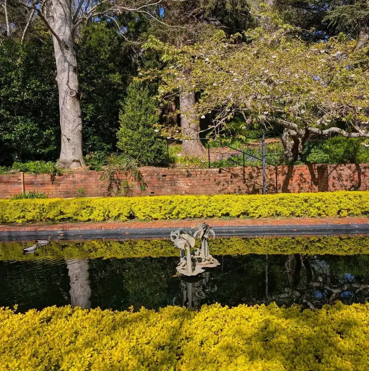 The Reflection Pool
