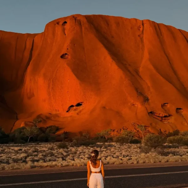 The Science and Timing Behind the Desert’s Rarest Colour Change